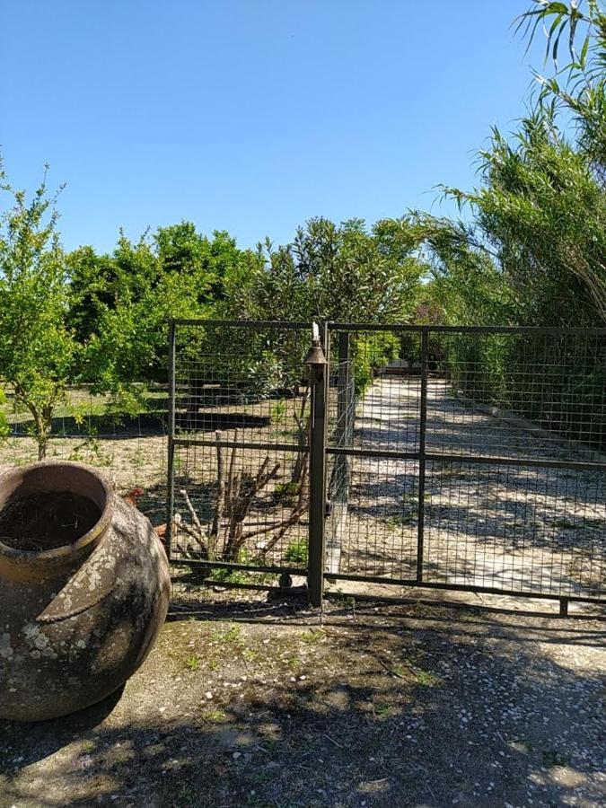 Quinta Da Ponte Das Hortas 3 Elvas Luaran gambar